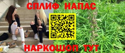 гашик Краснознаменск