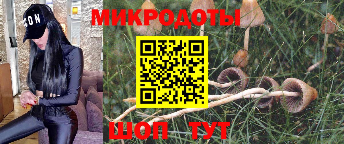 Галлюциногенные грибы мухоморы Киров